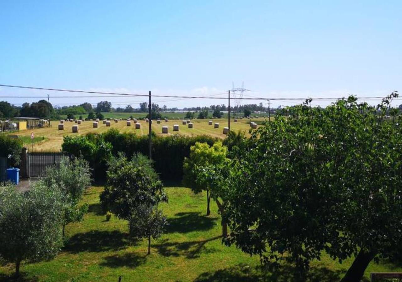 Borgo San Michele  Eco House San Micheleホステル エクステリア 写真