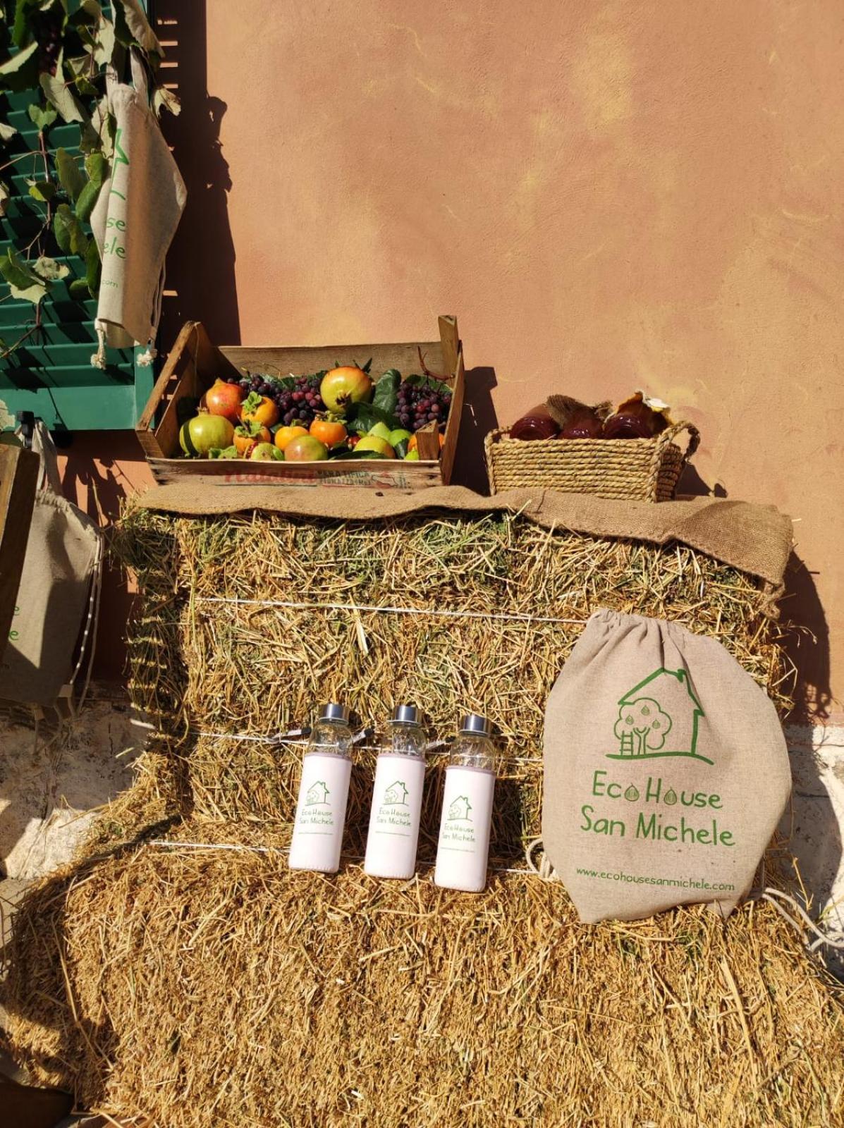 Borgo San Michele  Eco House San Micheleホステル エクステリア 写真